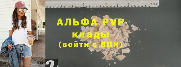 крисы Каменногорск