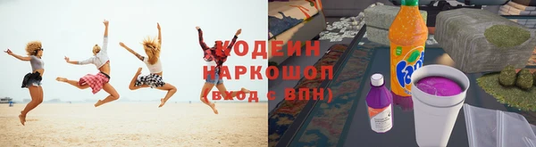 spice Каменка