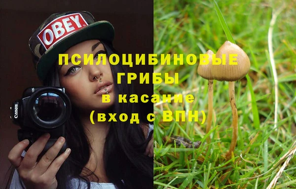 крисы Каменногорск