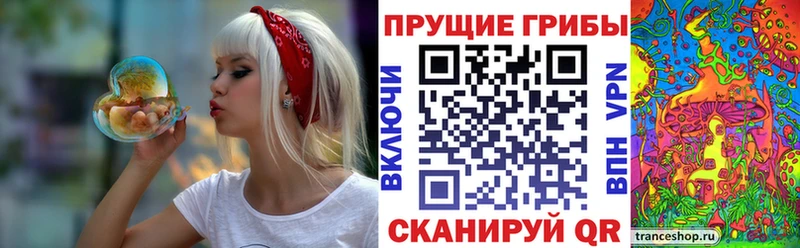 ОМГ ОМГ ССЫЛКА  Каменск-Шахтинский  Галлюциногенные грибы Magic Shrooms  как найти наркотики 