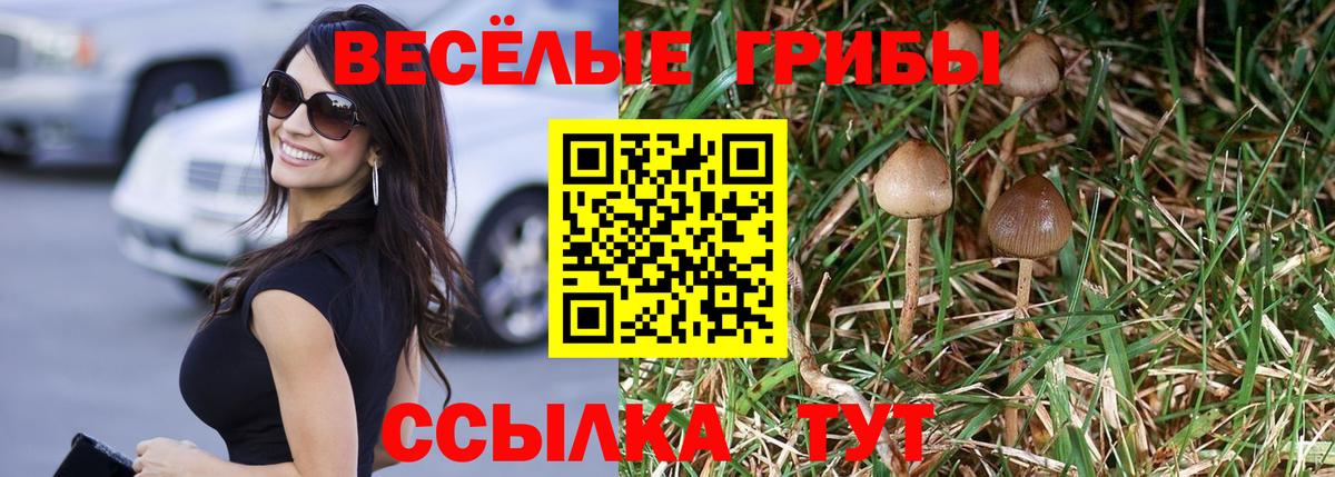 Каменск-Шахтинский  Галлюциногенные грибы ЛСД  Вход с VPN 