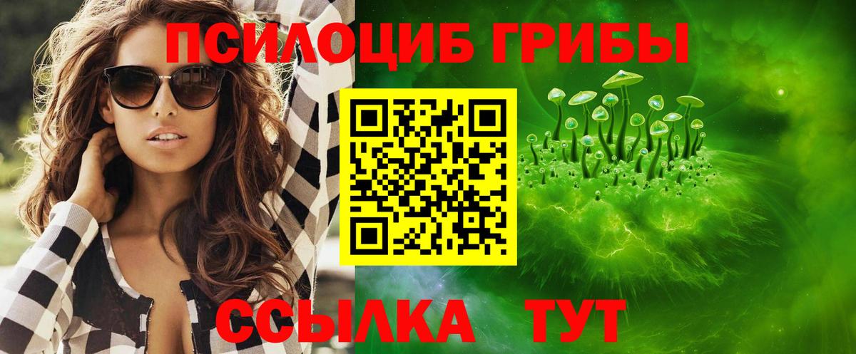 Псилоцибиновые грибы мицелий Каменск-Шахтинский